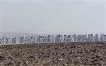 Hàng trăm người chụp ảnh khỏa thân ở biển Chết