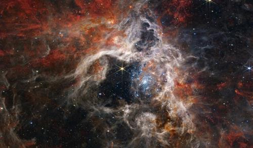 NASA đã công bố một hình ảnh mê hồn của Tinh vân Tarantula vào thứ Ba, ngày 6/9/2022. Cả cụm Tinh vân Tarantula nàykéo dài 340 năm ánh sáng cho thấy hàng chục nghìn ngôi sao trẻ trước đây bị che khuất bởi bụi vũ trụ. Nhóm sản xuất: NASA / ESA / CSA / STScI / Webb ERO