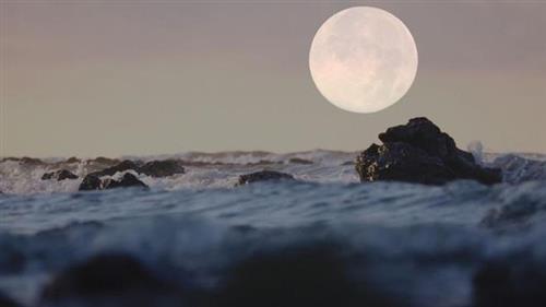 NASA lần đầu tiên xác định có nước trên bề mặt của Mặt Trăng. Ảnh: Foxnews.