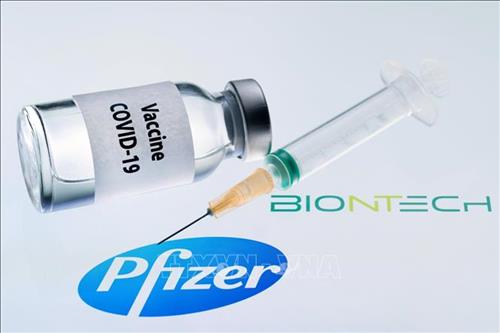 Vaccine ngừa COVID-19 do Công ty dược phẩm Pfizer và BioNTech phối hợp phát triển. Ảnh: AFP/VN+