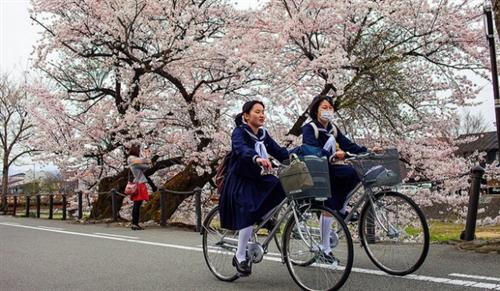 Người Nhật thích sử dụng xe đạp