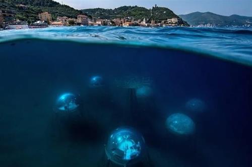 Nemos Garden cách làng Noli ở vùng Liguria (Ý) một trăm ba mươi mét ngoài khơi. Ảnh: Giacomo dOrlando.