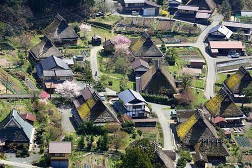 Làng Miyama Kayabuki, bao quanh bởi vòng cung các dãy núi cao chừng 1.000 m, nổi tiếng với vẻ đẹp cổ kính, yên bình. Làng cách cố đô Kyoto chừng 50 km, tập hợp các ngôi nhà lợp cỏ tranh độc đáo, hầu hết đều có vườn bao quanh. Cư dân sống bằng nghề nông hiền lành, chân chất. Ảnh:Tabido.