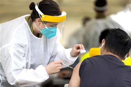 Nhân viên y tế tiêm chủng vaccine ngừa COVID-19 cho người dân tại Dubbo, Australia, ngày 22/8 vừa qua. (Ảnh: AFP/VN+)